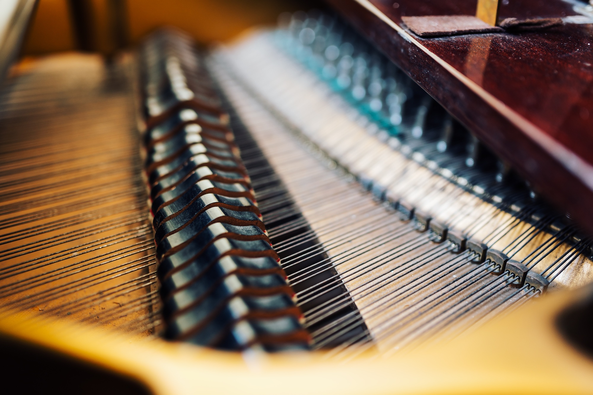 the internal parts of grand piano strings