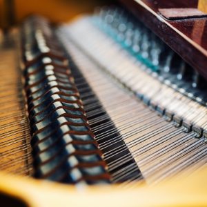 the internal parts of grand piano strings